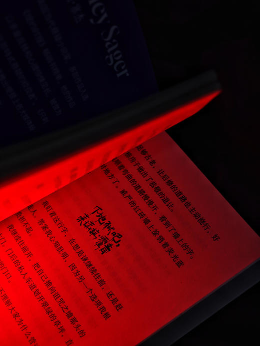 【限量证物袋】只剩你一个（平装32开），年度哥特悬疑王炸，微恐惊悚直起鸡皮疙瘩！女性叙事下关于真相与成长的追索，双女主极限拉扯，层层反转。 商品图9