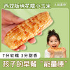 云南西双版纳花糯玉米 1000g/袋（5~8根/袋） 西双版纳老品种糯玉米，四季轮种，香糯Q弹，老人小孩放心吃！ 商品缩略图0