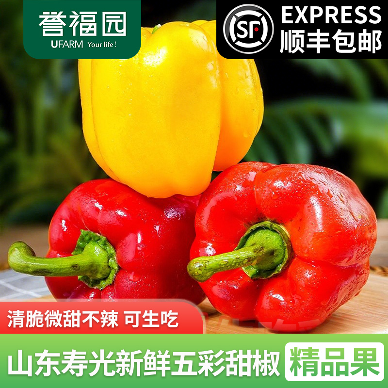 【彩椒】 三色彩椒 新鲜蔬菜 整箱发货3斤/4.5斤装