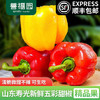 【彩椒】 三色彩椒 新鲜蔬菜 整箱发货3斤/4.5斤装 商品缩略图0