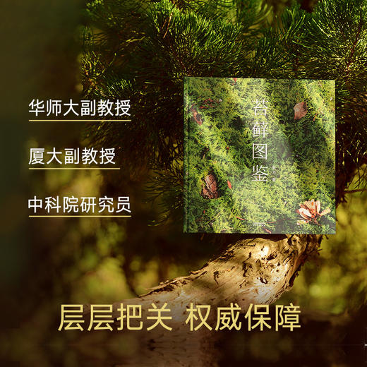苔藓图鉴（作者张力35年积累｜10万余样片精选150张｜99种代表性苔藓） 商品图4