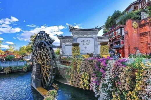 【云南旅游】大理丽江6天5晚亲子研学跟团游 商品图5