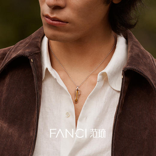 Fanci范琦 马首系列以梦为马项链虎眼石小众轻奢新年送男生日礼物 商品图4