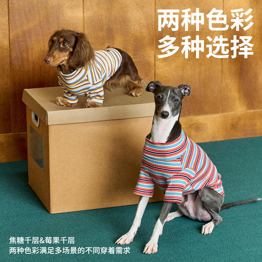 条纹宠物打底衫（包邮）-B 商品图4