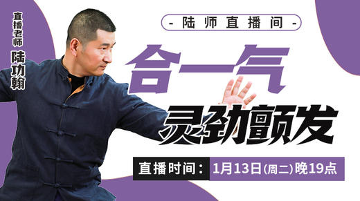 【1月13日】合一气   灵劲颤发 商品图0