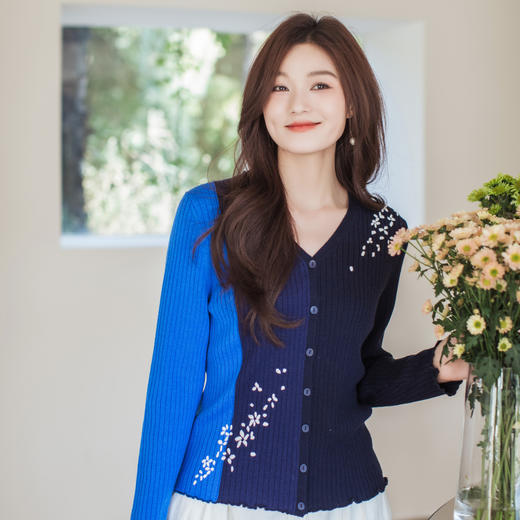 【林栖设计小店】【林栖推荐】蓝色落英缤纷多色拼接绵羊毛针织绣花开衫N1961361 商品图0