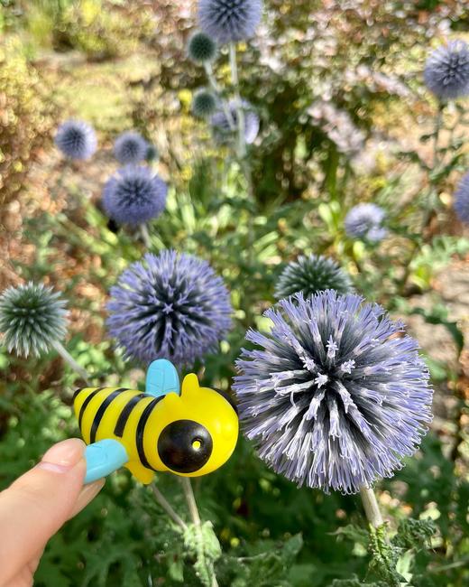 低幼桌游启蒙记忆训练桌游花园动物躲猫猫 商品图3