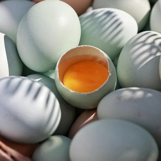 申十一谷物乌鸡蛋绿壳鸡蛋30枚鸡蛋+泡沫盒+稻谷壳JLD103-30枚 商品图6