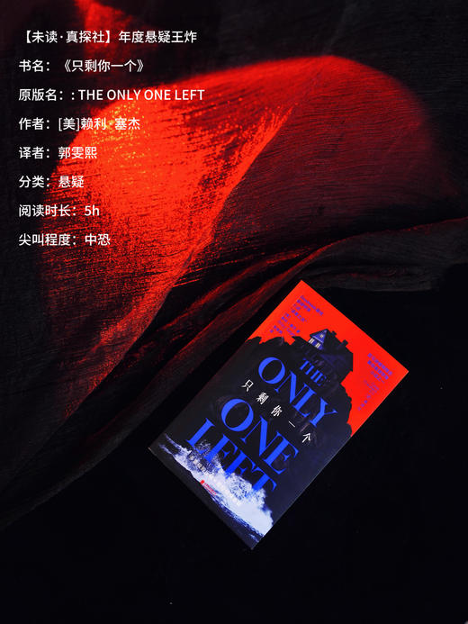 【限量证物袋】只剩你一个（平装32开），年度哥特悬疑王炸，微恐惊悚直起鸡皮疙瘩！女性叙事下关于真相与成长的追索，双女主极限拉扯，层层反转。 商品图5