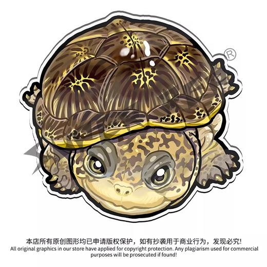 冰箱贴 龟⑨ 侧颈龟主题为主 磁吸 Q版 卡通 爬宠爬虫周边 super rep超爬正版【48小时发货】 商品图2