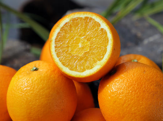 【限量甄选！春节前最后100箱】生态土、生态水、有机肥、自然果香 核心产区 赣南寻乌脐橙10斤装 商品图0