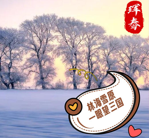 【已成团】寒假东北虎豹国家公园科考营7天6晚 商品图4