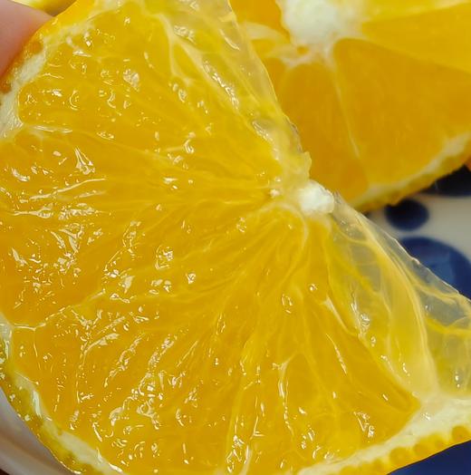 象山老树红美人黄美人 柑橘贵族 又甜又嫩 天然养成 不催熟 核心产区 皮薄肉嫩 一口爆汁 好吃纯正 |百里食 商品图0