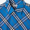 BURBERRY 巴宝莉 男士格纹棉质长袖衬衫 格子 8110881 C3261 商品缩略图1