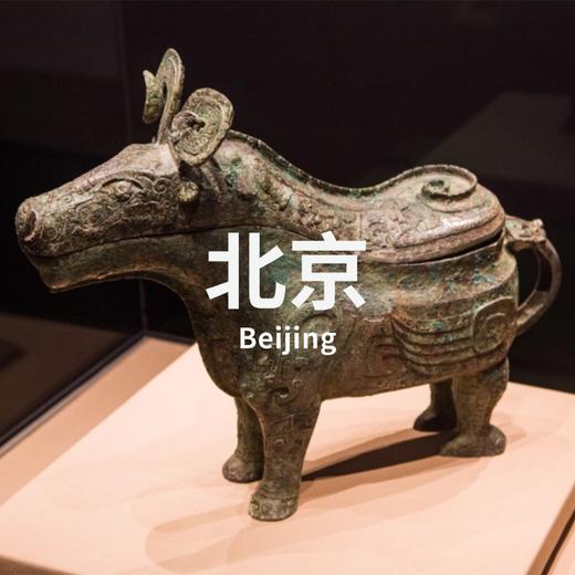 3.8 | 中国之中：中原古代文明精粹展（3小时版） 商品图0