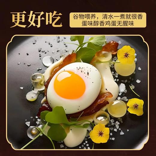 申十一谷物鲜鸡蛋50枚鸡蛋+泡沫盒+稻谷壳JLD102-50枚 商品图3