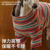 条纹宠物打底衫（包邮）-B 商品缩略图1