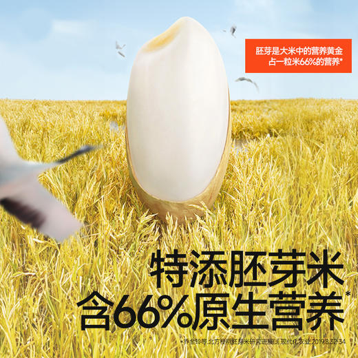 秋田满满婴幼儿手指泡芙（原味）/(香蕉味) 30g    6月+ 商品图1