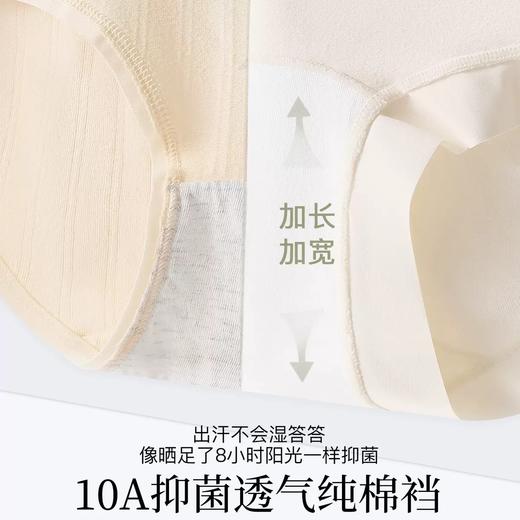59/5条！「DANMO10A纯棉高腰内裤」贴身包裹不卡裆 加宽剪裁更包臀 高弹力腰边不勒身 商品图3