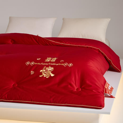 60支长绒棉婚嫁大豆被子全棉冬被加厚结婚陪嫁大红色新婚喜被春秋棉被芯 商品图0
