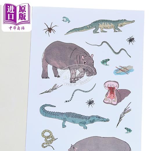 【中商原版】野生动物解剖学贴纸书 插画家朱莉娅·罗斯曼 Wildlife Anatomy Sticker Book 英文原版 Julia Rothman 商品图2
