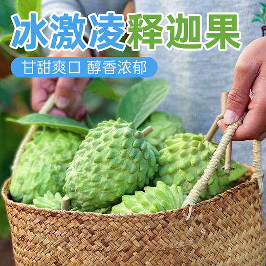 【释迦果花斑果】冰淇淋般的口感 甘甜爽口 醇香浓郁 商品图4