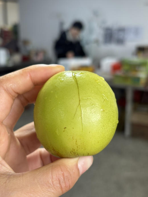 云南蜜枣空运到货！皮薄嫩甜 口感超赞～ 商品图3