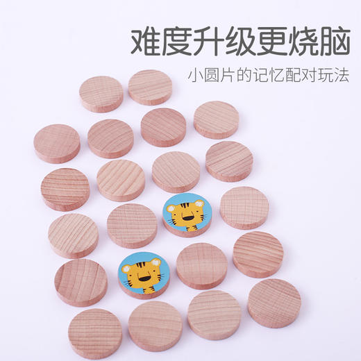 宝宝早教必备夹子排排队益智玩具锻炼手眼协调 商品图6