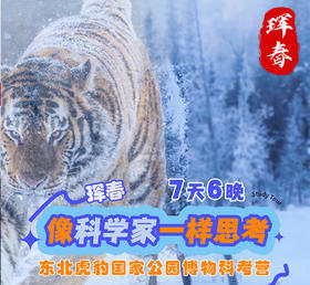 【已成团】寒假东北虎豹国家公园科考营7天6晚