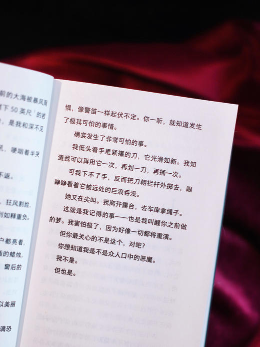 【限量证物袋】只剩你一个（平装32开），年度哥特悬疑王炸，微恐惊悚直起鸡皮疙瘩！女性叙事下关于真相与成长的追索，双女主极限拉扯，层层反转。 商品图12