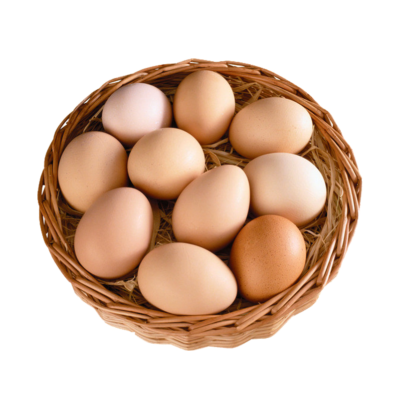 申十一谷物鲜鸡蛋50枚鸡蛋+泡沫盒+稻谷壳JLD102-50枚