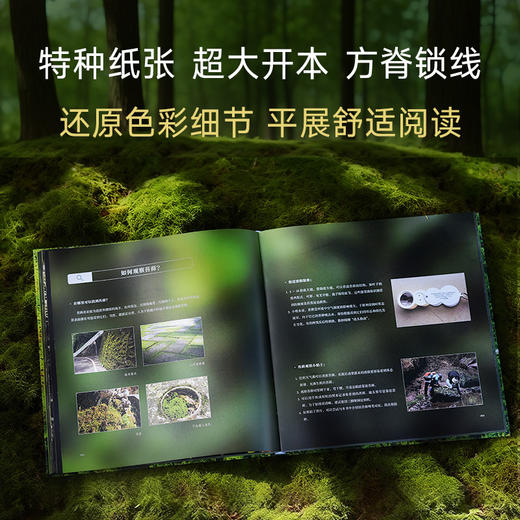 苔藓图鉴（作者张力35年积累｜10万余样片精选150张｜99种代表性苔藓） 商品图3