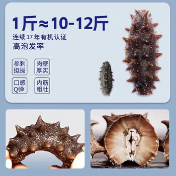 好当家 威海有机干海参 50g 10-12只 节日伴手礼 海鲜干货  /粮油调味 /南北干货 /干海参 商品图3