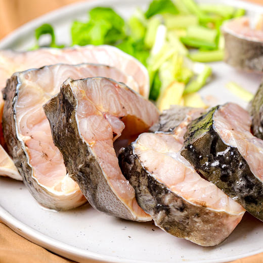 生态鲟龙鱼 商品图8