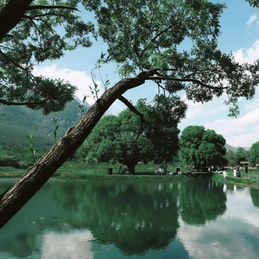 2晚/3晚【丽江棠岸度假酒店+Club Med丽江度假村】一价全包！双店好礼，直面玉龙雪山~享雪山草地独特风光，假期亲子、情侣旅游好去处~ 商品图12