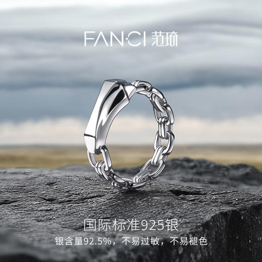 Fanci范琦 马首系列逐风戒指男士925银闭口戒指新年送男友生日礼物 商品图2