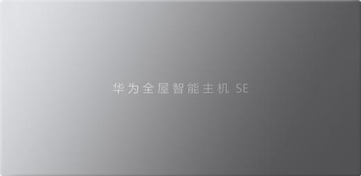 华为全屋智能 智能主机 SE 银灰色 商品图0