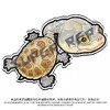 冰箱贴 龟⑨ 侧颈龟主题为主 磁吸 Q版 卡通 爬宠爬虫周边 super rep超爬正版【48小时发货】 商品缩略图6