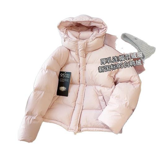 95绒！厚绒羽绒服~2026三防保暖连帽加厚外套简约全能搭羽绒衣！ 商品图3