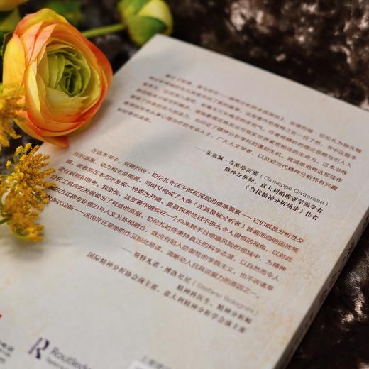 万千心理·移情、爱与存在：精神分析的本质探究 商品图4