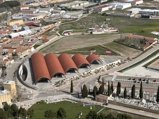 2月12日停运~【年货节 品尝特惠  橙子自留款红酒】Protos普洛托斯干红葡萄酒 西班牙进口红酒 西班牙 “奔富平替” 果香浓郁 单宁顺滑 越醒越好喝 微醺不上头 商品图7