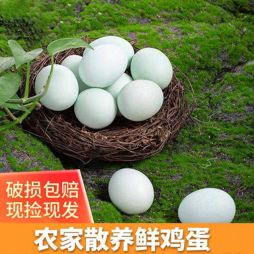 申十一谷物乌鸡蛋绿壳鸡蛋30枚鸡蛋+泡沫盒+稻谷壳JLD103-30枚 商品图2
