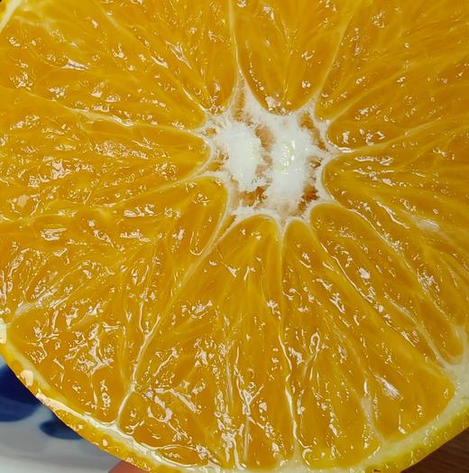 象山老树红美人黄美人 柑橘贵族 又甜又嫩 天然养成 不催熟 核心产区 皮薄肉嫩 一口爆汁 好吃纯正 |百里食 商品图1