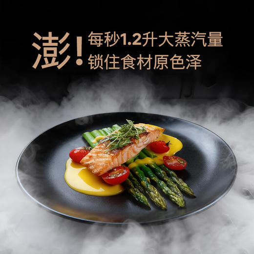 西门子（SIEMENS）全球首发 行业唯一蒸玲珑】抽屉蒸箱嵌入式 超薄机身 灵活安装 ±1℃精准控温 高清臻彩触控屏 BD711C1B1W 商品图4