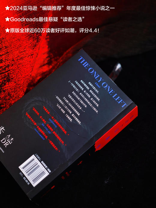 【限量证物袋】只剩你一个（平装32开），年度哥特悬疑王炸，微恐惊悚直起鸡皮疙瘩！女性叙事下关于真相与成长的追索，双女主极限拉扯，层层反转。 商品图6