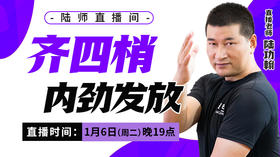 【1月8日】齐四梢   内劲发放