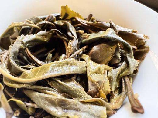 2025春  小雅·鹿鸣  生普洱 马鹿寨 人迹罕至 香雅味甜 性价比 500克/盒 商品图4