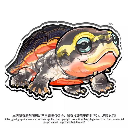 冰箱贴 龟⑨ 侧颈龟主题为主 磁吸 Q版 卡通 爬宠爬虫周边 super rep超爬正版【48小时发货】 商品图3