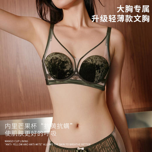 【纳福行运❗️复古丝绒文胸套装】薄款大胸显小聚拢上托不空杯性感内衣秋冬本命年马年新年 商品图4