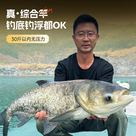 佳钓尼盛世大综合鱼竿手竿超轻超硬碳素手杆鲫鱼竿鲤鱼竿钓鱼装备 商品图4